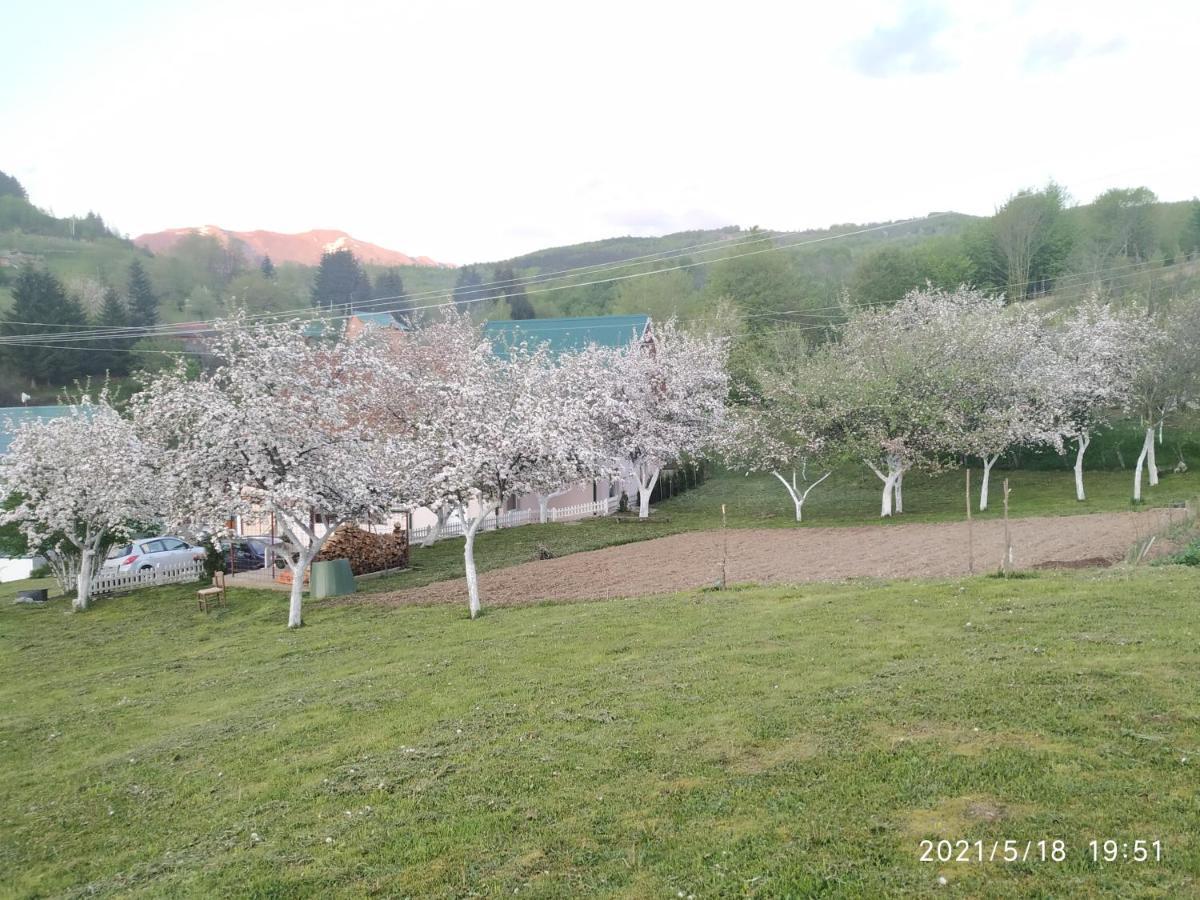 Apartments & Rooms Bojic Kolasin Ngoại thất bức ảnh